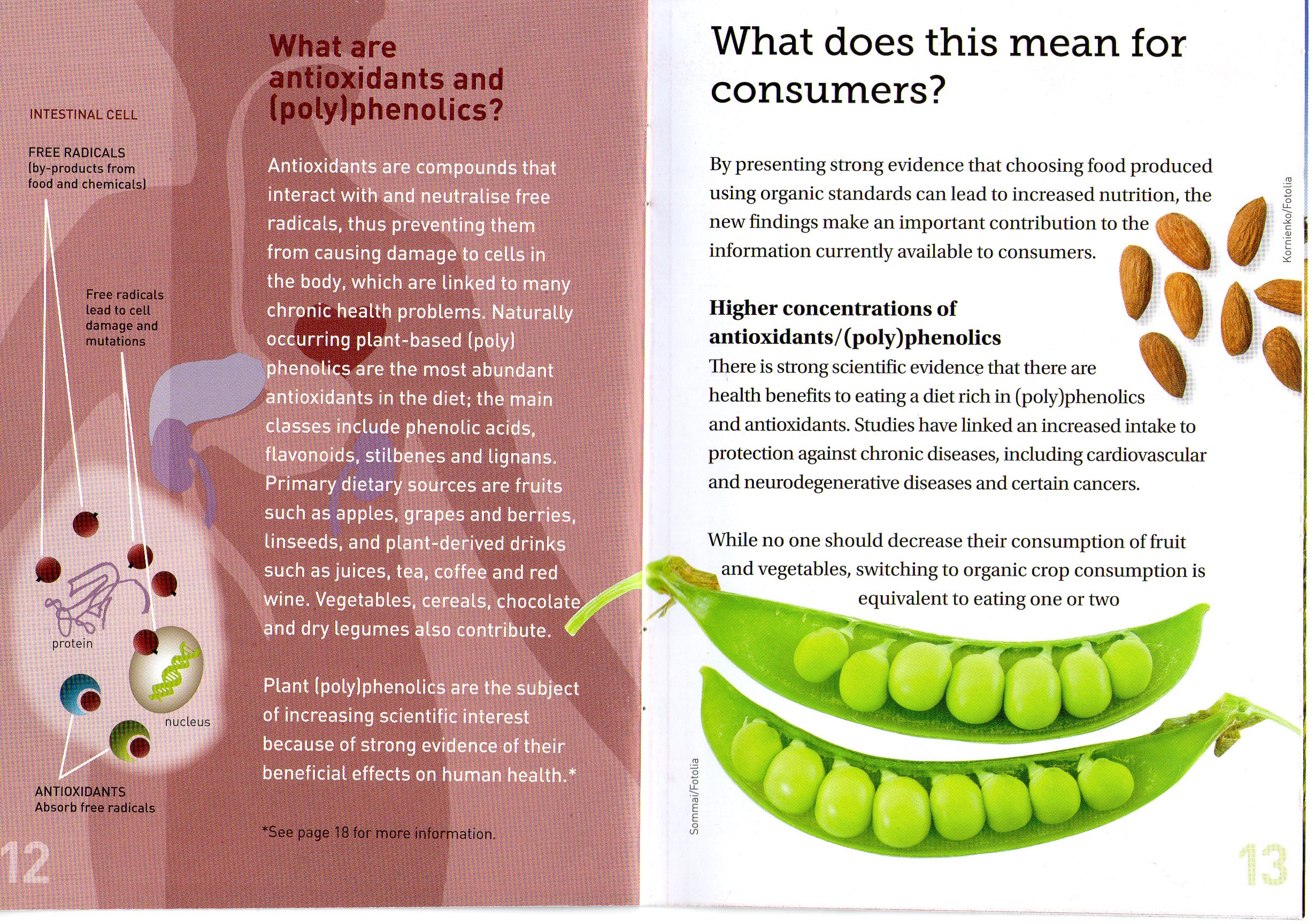 THE DIFFERENCE BETWEEN ORGANIC AND NON ORGANIC FOOD Making You Aware